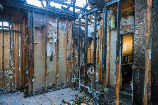 Professional Fire Damage Removal technician working in Gastonville, PA